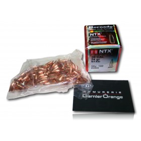 OGIVE HORNADY NTX CAL 20 20 24GR BTE 100