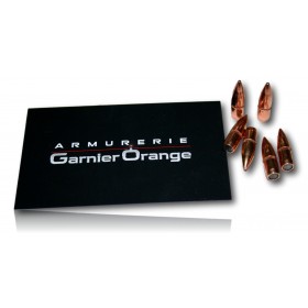 OGIVE ARMSCOR CAL 223 62GR LOT 1000