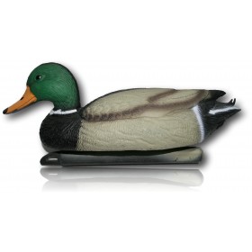 COLVERT MALE