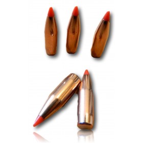 OGIVE HORNADY V-MAX 6MM 243 75 GR BTE 100 22420