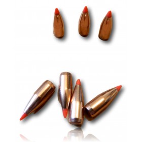 OGIVE HORNADY V-MAX 6MM 243 58 GR BTE 100 22411