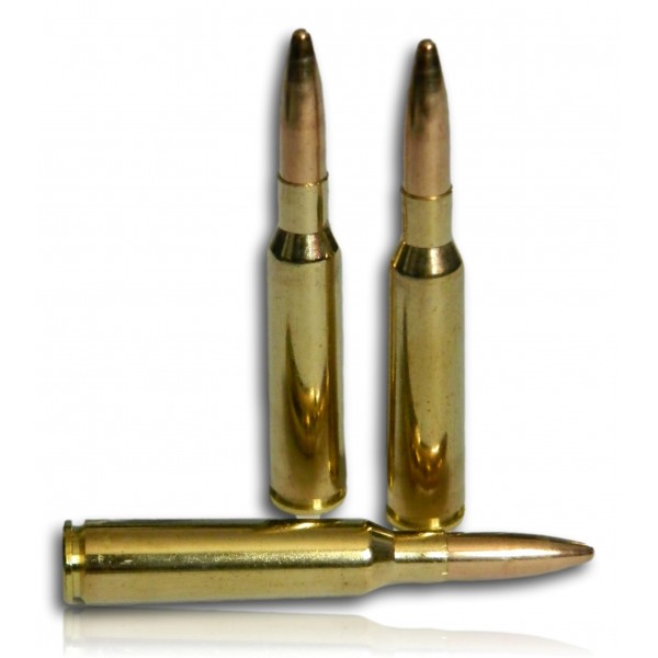 6.5X55 SE SELLIER BELLOT 124 GR 8.0G BTE 50