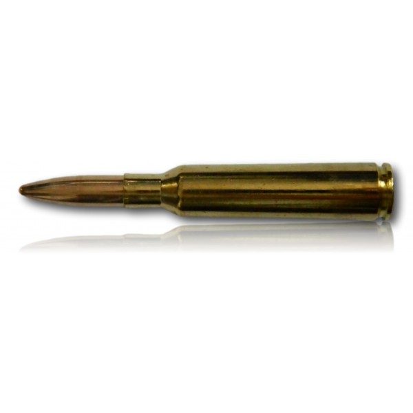 6.5X55 SE SELLIER BELLOT 124 GR 8.0G BTE 50