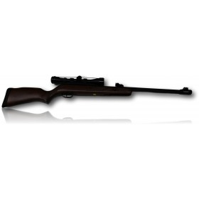 CARABINE GAMO HUNTER 440 AS COMBO CAL.4.5MM + LUNETTE 3-9X40 19,9J