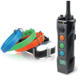 DOGTRA 4500 EDGE PORTE 1600M - 1 CHIEN