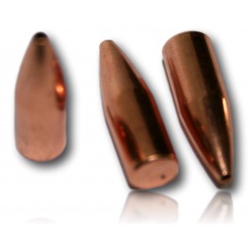 OGIVE HORNADY 22 53 GR BTHP BTE 100 2250