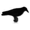 FORME CORBEAU VELOURS CROASSEUR