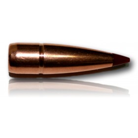 OGIVE HORNADY CX CAL 30 308 110GR BTE 50 301914