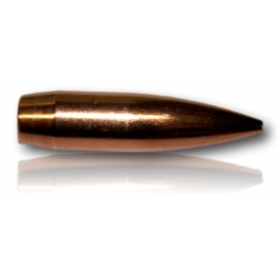 OGIVE SIERRA 30 175 GR HPBT MATCHEKING 2275 BTE 100