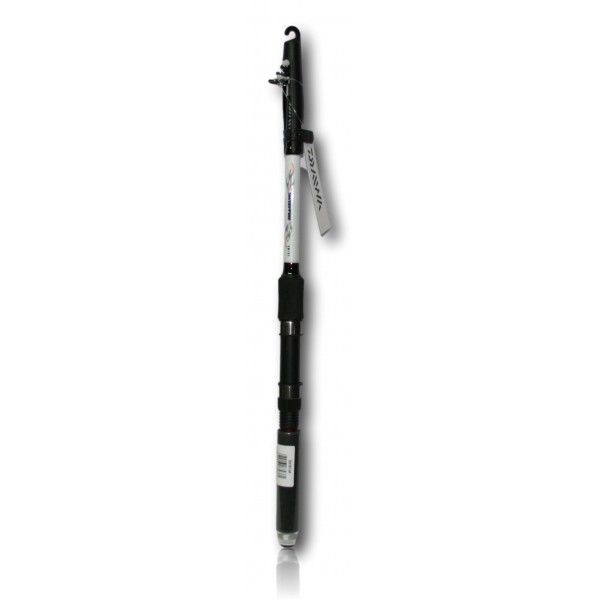 ENSEMBLE DAIWA MOULINET SWEEPFIRE E2500C