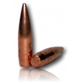 OGIVES RWS CAL 30 SCORION 168GR BTE 50