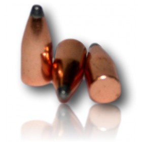 OGIVE HORNADY CAL 22 224 SP 45GR  100 2230