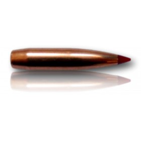 OGIVE HORNADY CAL 6MM 243 ELD-X 103GR BTE 100 24550