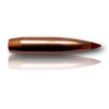 OGIVE HORNADY CAL 6MM 243 ELD-X 103GR BTE 100 24550