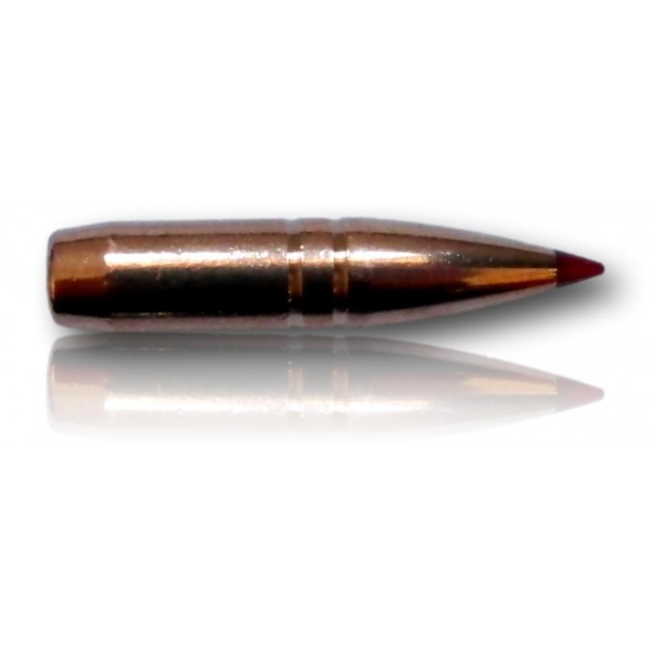 OGIVE HORNADY CX CAL 30 308 180GR BTE 50 301934