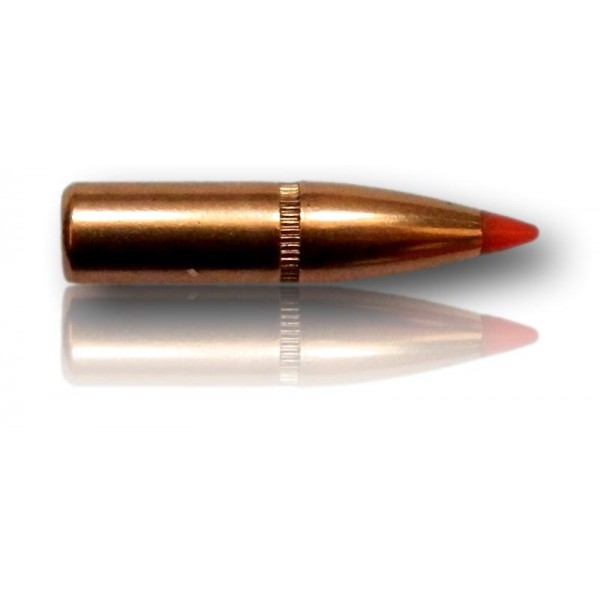 OGIVE HORNADY SST 6 MM 243 95GR LOT 100 24532