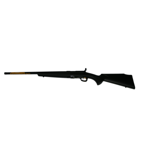 CARABINE BROWNING T-BOLT 22lr GAUCHER
