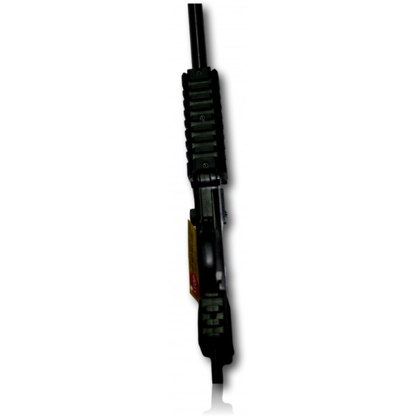 CARABINE CHIAPPA 22LR LITTLE BADGER