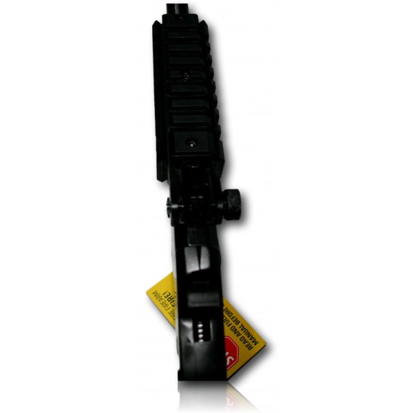 CARABINE CHIAPPA 22LR LITTLE BADGER