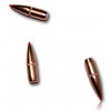 BOITE DE 100 OGIVES HORNADY 30 .308 165GR SST 30452