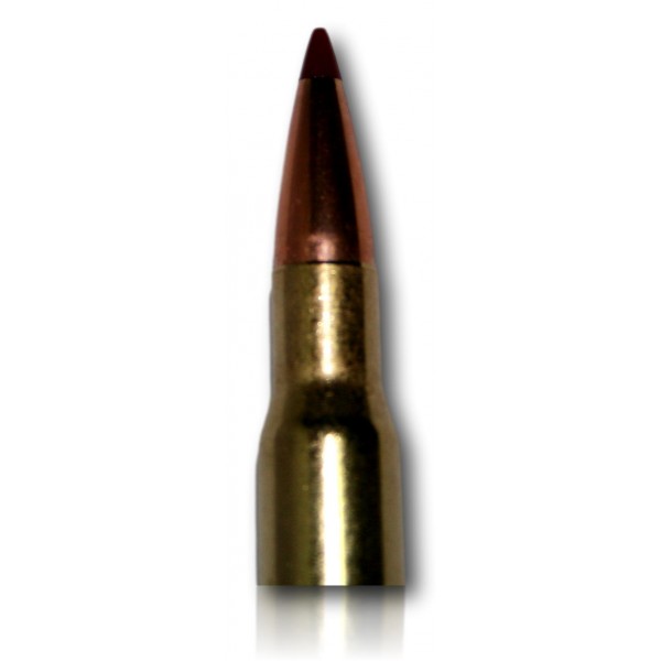 MUNITION HORNADY 30-06 PRECISION HUNTER  178GR ELD-X