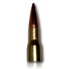 MUNITION HORNADY 30-06 PRECISION HUNTER  178GR ELD-X