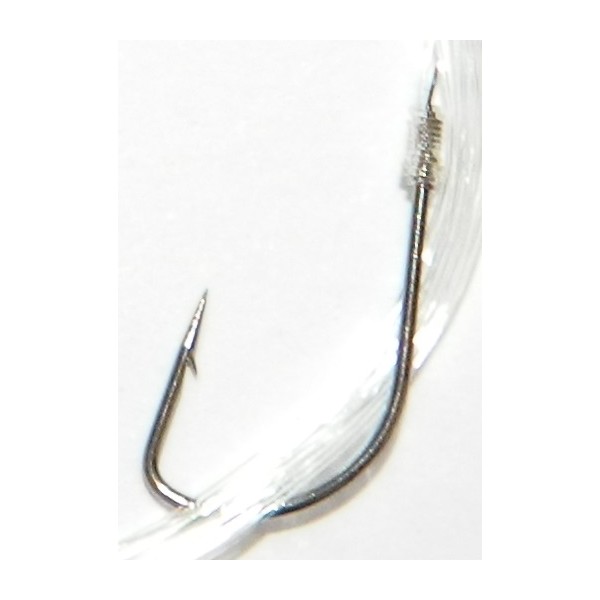 HAMECON SPECIAL BOMBETTE NUMERO 6