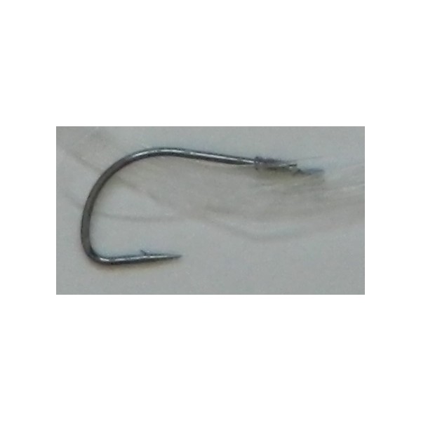 HAMECON SPECIAL BOMBETTE NUMERO 8