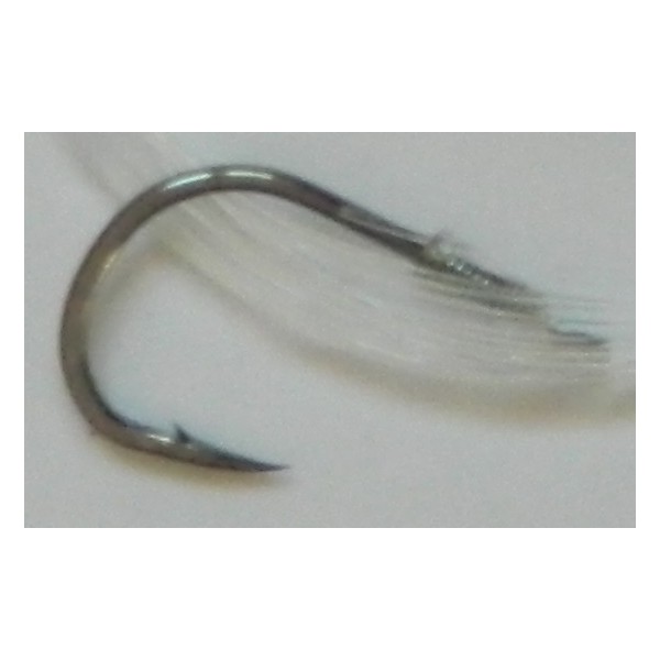 HAMECON FLASHMER NUMERO 4