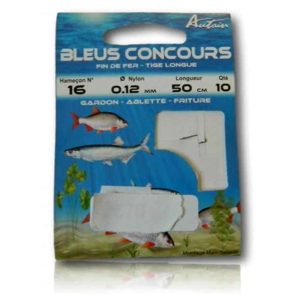 HAMECON BLEUS CONCOURS NUMERO 16