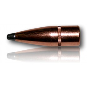 OGIVE HORNADY INTERLOCK CAL 303 312 150GR BTE 100 3120