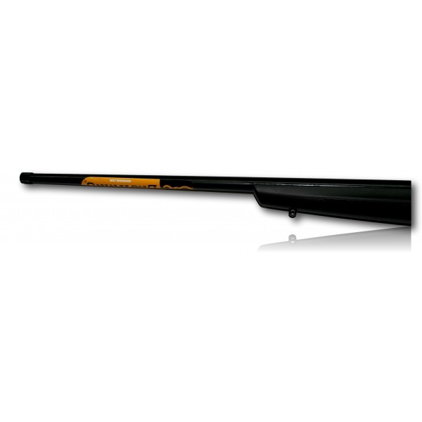 CARABINE BROWNING T-BOLT COMPO SPORTER 17HMR