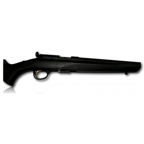 CARABINE BROWNING T-BOLT COMPO SPORTER 17HMR