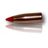 OGIVE HORNADY V-MAX CAL 17 25GR BTE 100 17105