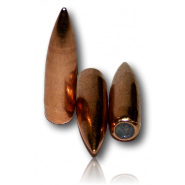 OGIVES Sellier & Bellot 8MM FMJ 12.7G BTE 100
