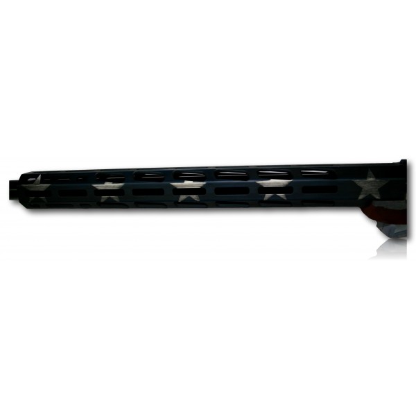 CARABINE RUGER PRECISION RIMFIRE 22LR 46CM DRAPEAU AMERICAIN