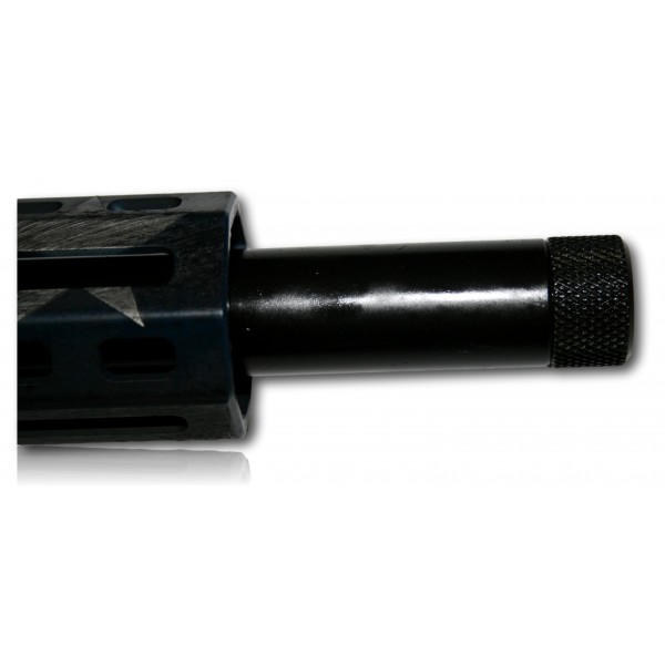 CARABINE RUGER PRECISION RIMFIRE 22LR 46CM DRAPEAU AMERICAIN