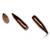 OGIVE HORNADY CAL 30 150 GR CX BTE 50 303704