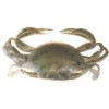 LEURRE BERKLEY IMITATION CRABE NATUREL AVEC ATTRACTANT