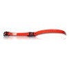 COLLIER CLIP RAPIDE BIOTHANE ORANGE 600X25X2.6CM
