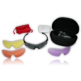 LUNETTE DE PROTECTION SWT 4 VERRES