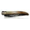 COUTEAU LAGUIOLE EN AUBRAC 12CM INOX TOUR EFFEIL POINTE DE CORNE EDITION LIMITEE