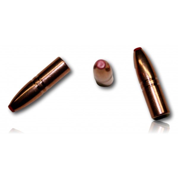 OGIVE HORNADY ECX CAL 9.3 250GR