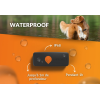 Traceur GPS pour chien - Weenect XS