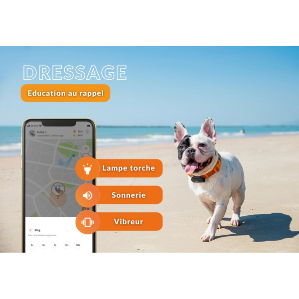 Traceur GPS pour chien - Weenect XS