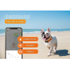 Traceur GPS pour chien - Weenect XS
