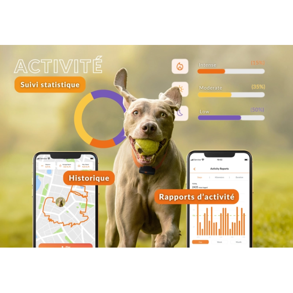 Traceur GPS pour chien - Weenect XS