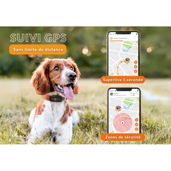 Traceur GPS pour chien - Weenect XS