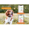 Traceur GPS pour chien - Weenect XS