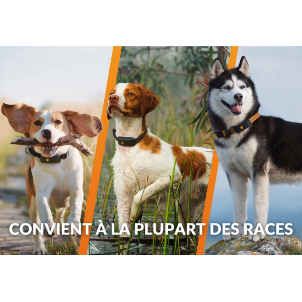 COLLIER GPS POUR CHIEN - WEENECT XT